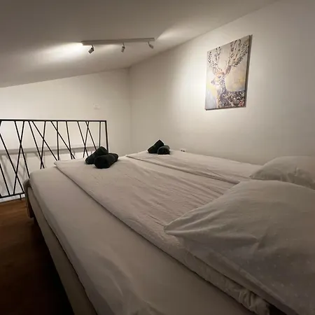 Apartamento Ljubljana Studios *
